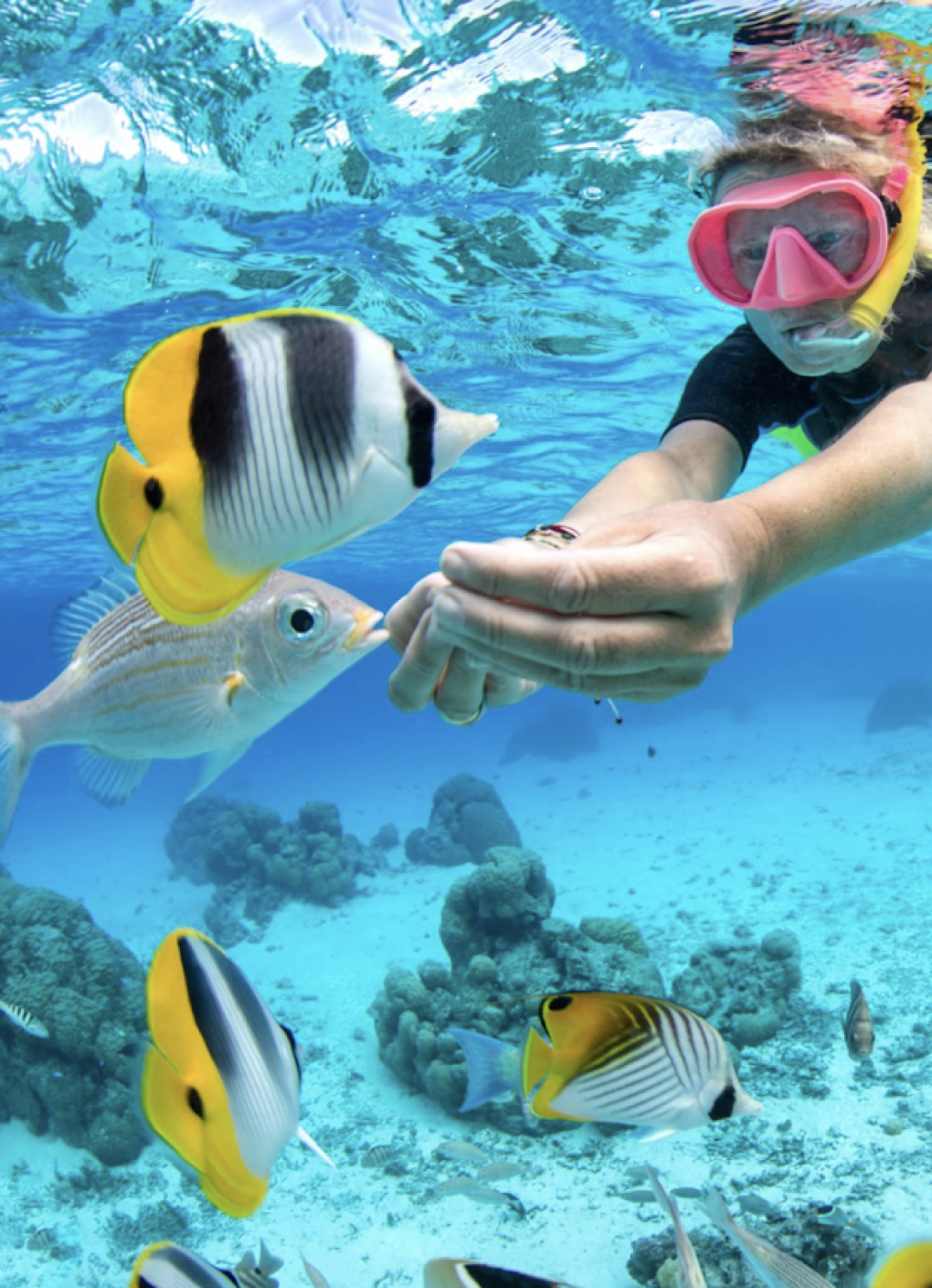 snorkeling1